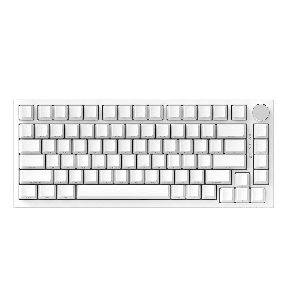 AJAZZ AK820 Mechanical Keyboard Hot Swapping 75% Layout with Knob Supprt win & Mac